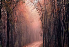 英超末輪降級之爭:埃弗頓萊斯特利茲聯三隊中兩隊將降級 !.