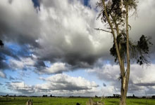 QY球友会官网:22/23賽季歐冠16強次回合那不勒斯3-0法蘭克福 奧斯梅恩雙響澤林斯基點射!那不勒斯隊史首闖歐冠8強!.