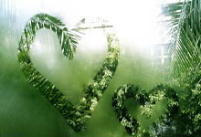 QY球友会官网：FMVP!伊戈达拉9号球衣正式退役 勇士历史第七人_库里_演讲_科尔.