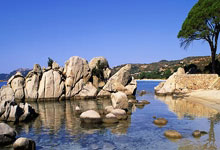 球友会:恩東貝萊將在1月與加拉塔薩雷順利連續租賃!.